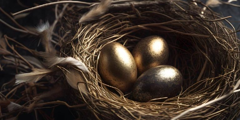 Introduction to Asset Protection